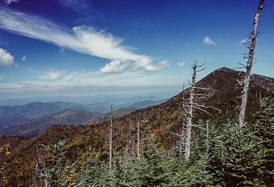 Mt. Craig summit